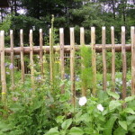 Gartenweb Gartenweb - Das Gartenmagazin rund um den eigenen Garten